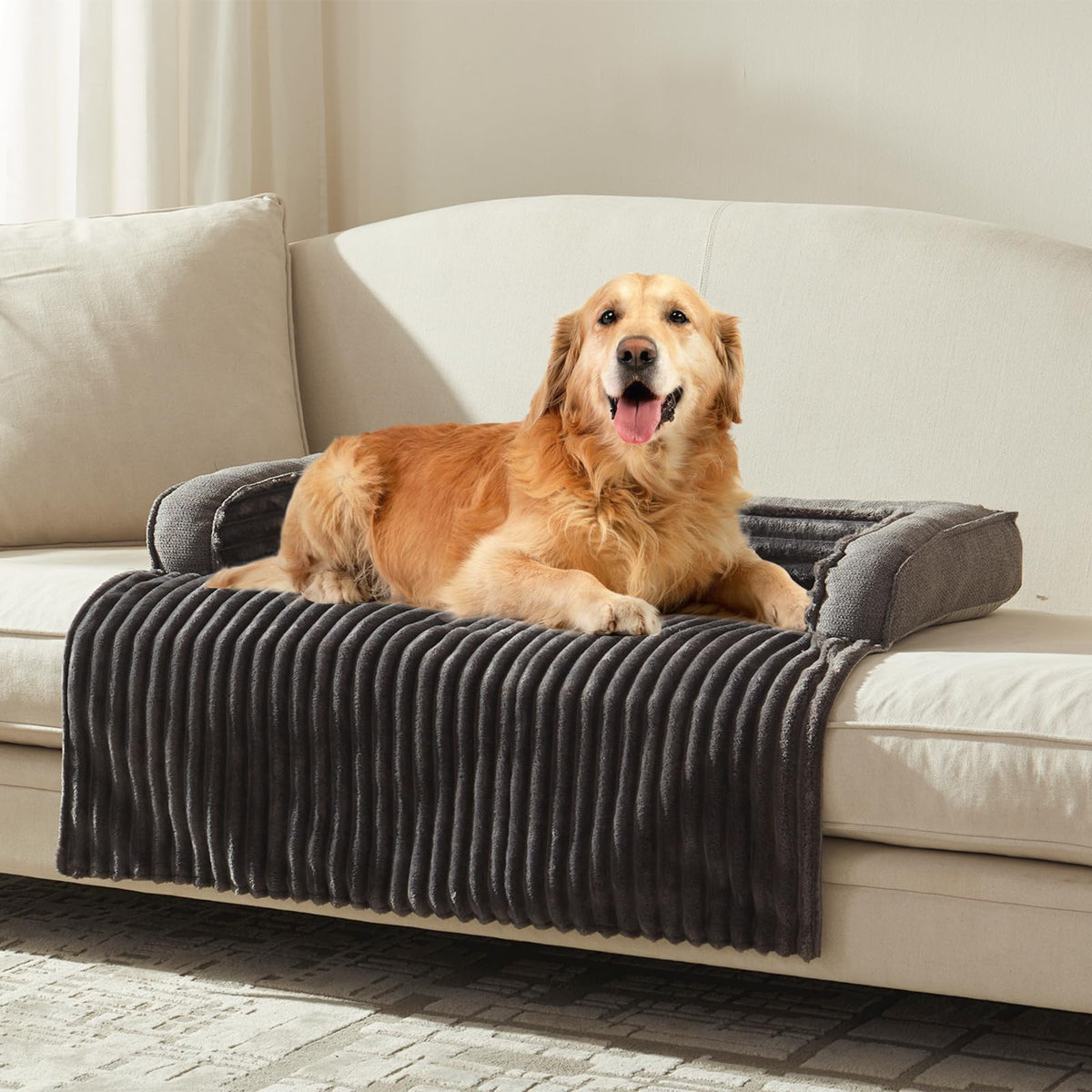 WindRacing Canape Chien Luxe Confort – repos apaisant pour votre compagnon