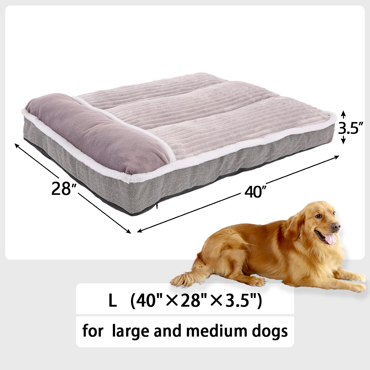 WINDRACING garnissage-foam-granuleux-dense soutient le corps du chien.