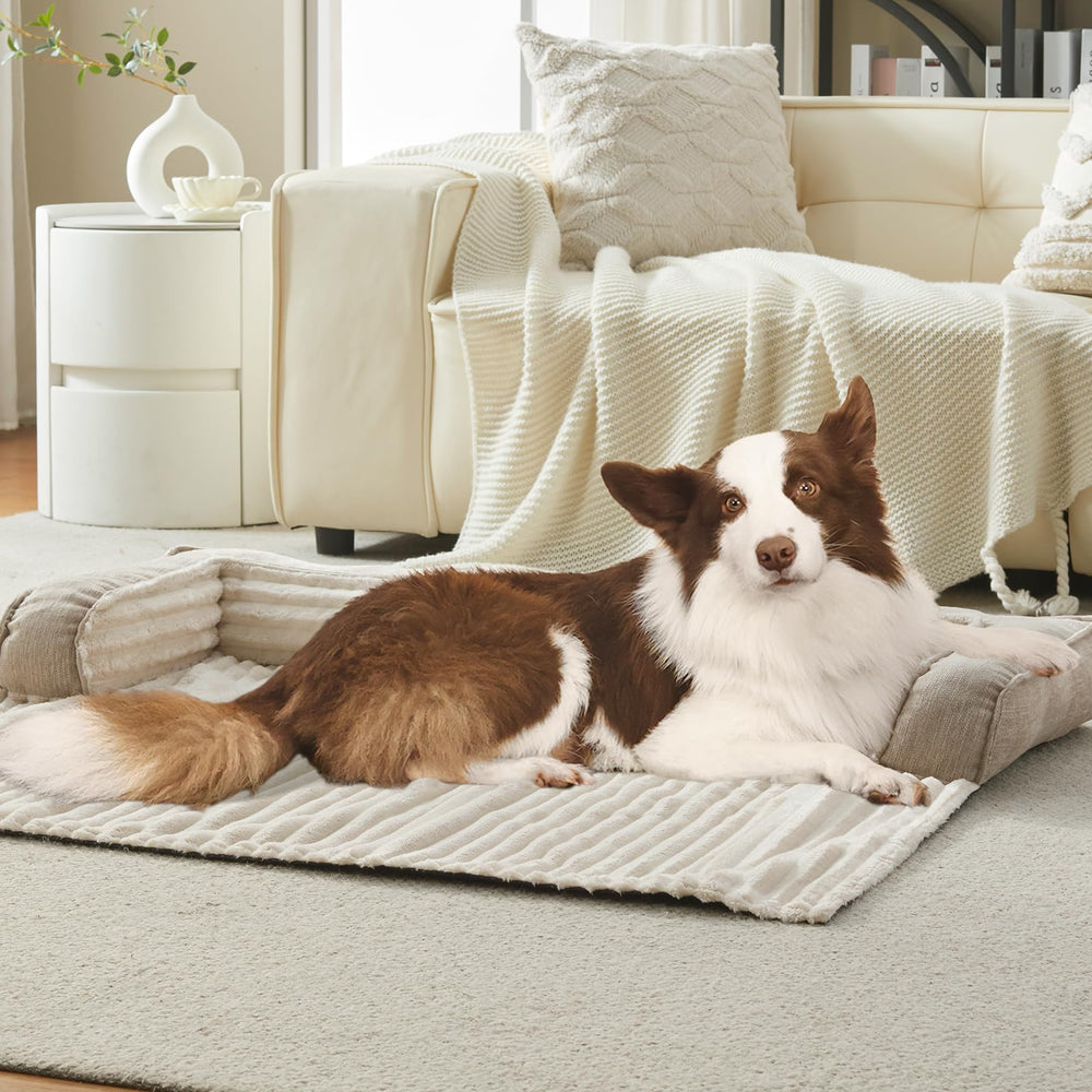 WINDRACING Housse Canape Chien Lavable Beige, entretien facile et hygiène assurée.