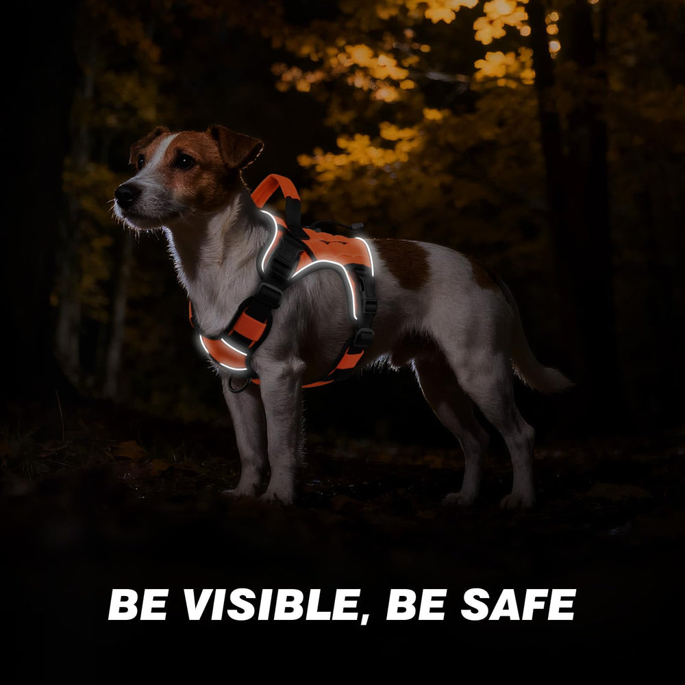 Système de boucles rapides Wingoin facilitant l’enfilage sans contrainte pour le chien.