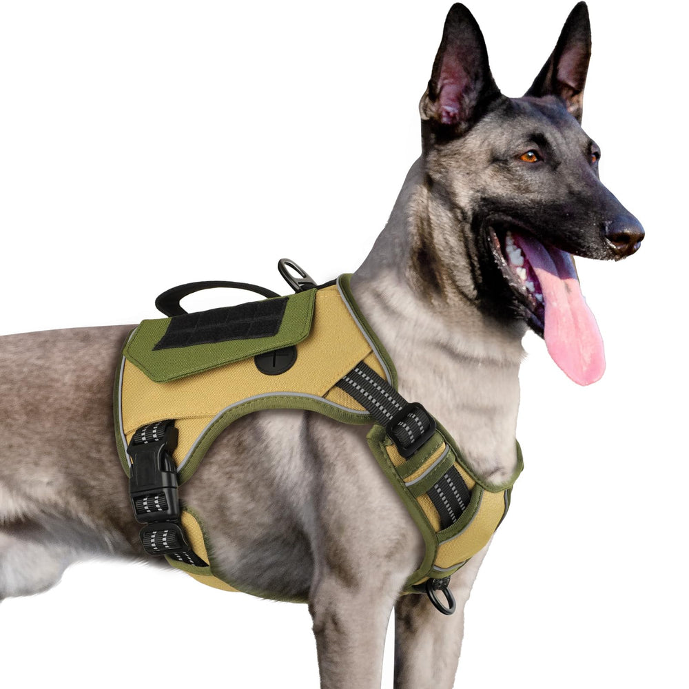 Harnais WINGOIN Khaki en vue générale, sécurité et confort pour balades.