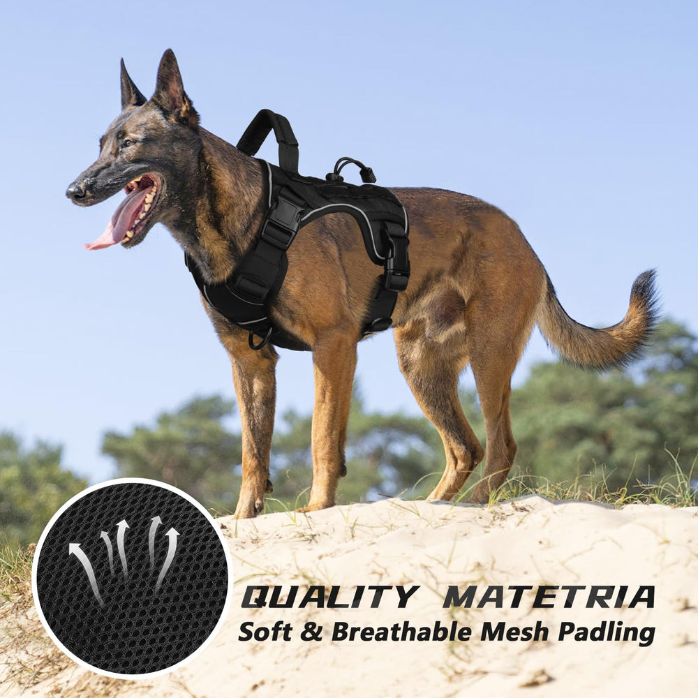 Harnais polyvalent WINGOIN, idéal pour promenades, entraînement et chasse légère