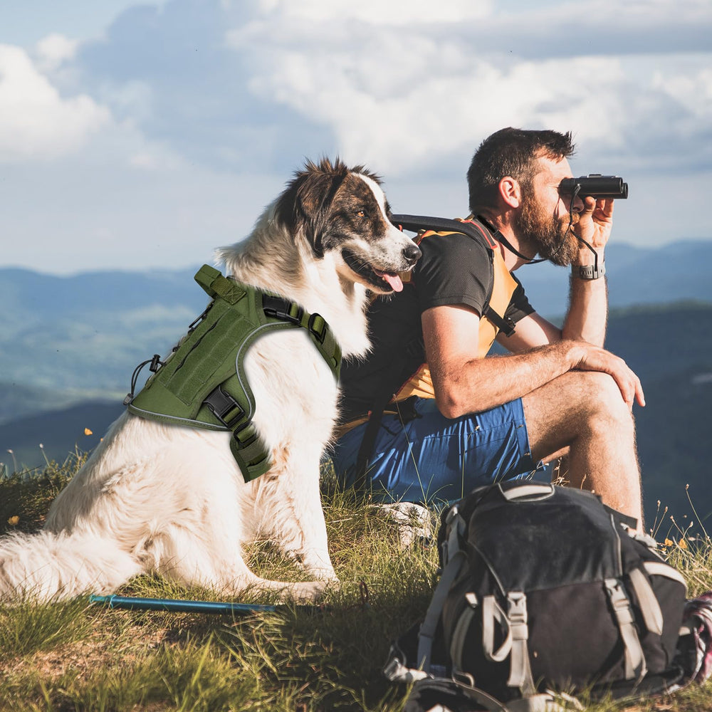 Wingoin harnais pour promenade extérieure, parfait pour les activités en plein air.