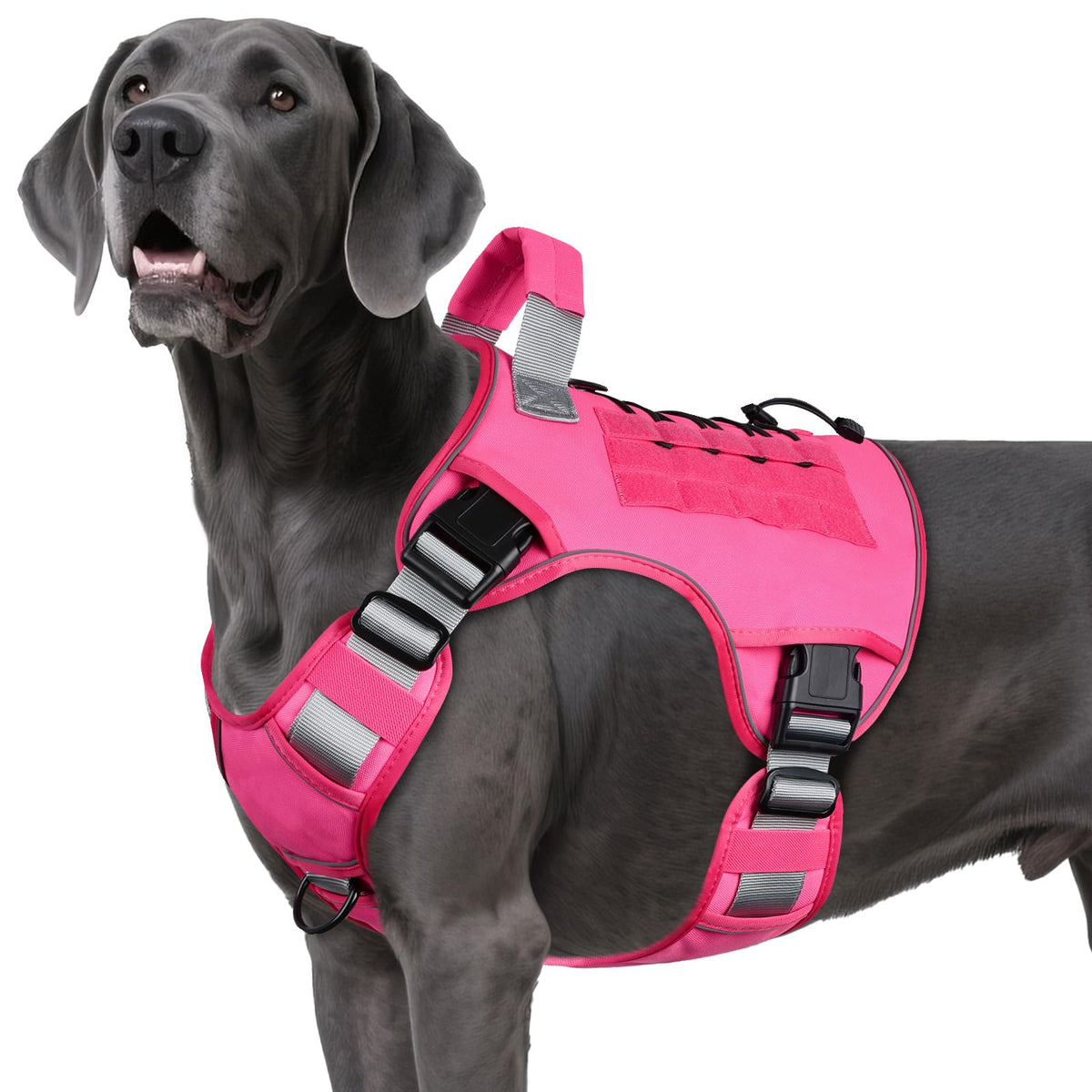Wingoin harnais tactique pour chien extralarge rose, confort durable lors des promenades.