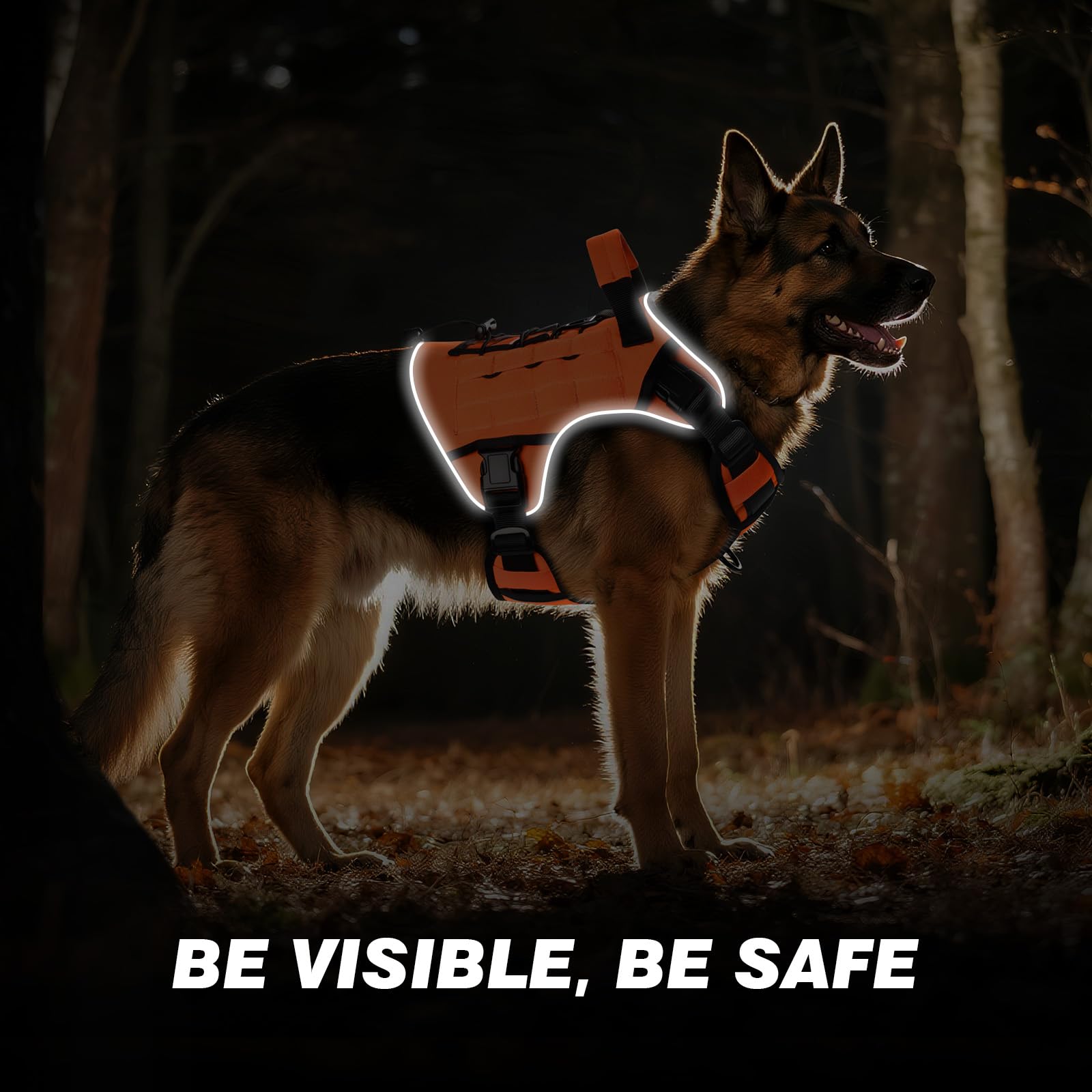 Wingoin harnais tactique pour chien grand – vue frontale, fermetures rapides faciles.