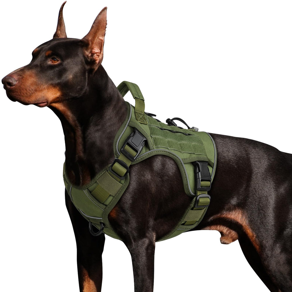 Wingoin harnais tactique pour chien grande taille avec extérieur en nylon 1000D, démontrant durabilité.