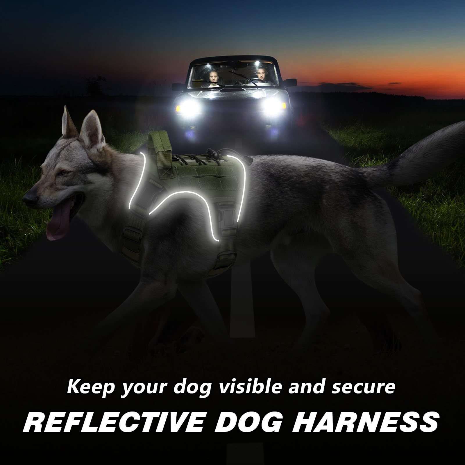 Harnais Wingoin avec bande réfléchissante, visibilité accrue pour les promenades nocturnes.