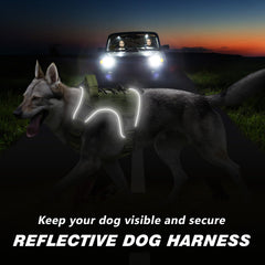 Harnais Wingoin avec bande réfléchissante, visibilité accrue pour les promenades nocturnes.