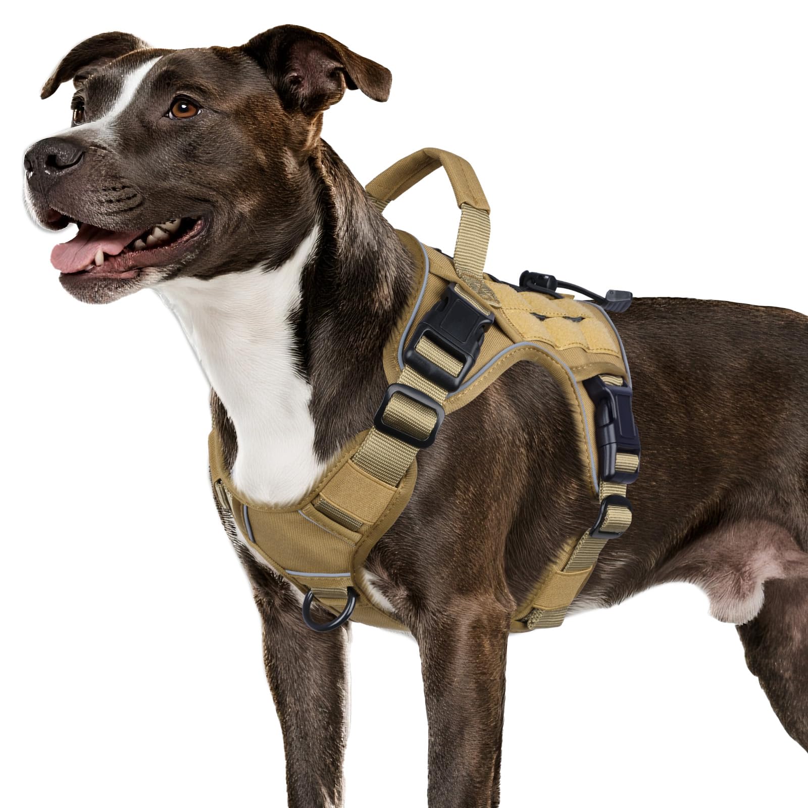 Wingoin harnais tactique chien moyen – confort et durabilité lors des sorties