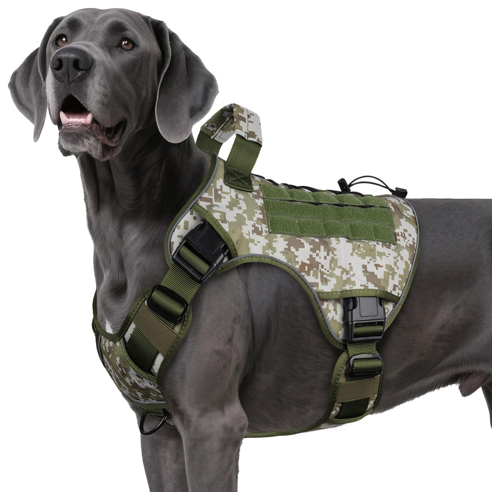 Wingoin harnais tactique XXL pour chien, confort et sécurité lors des sorties