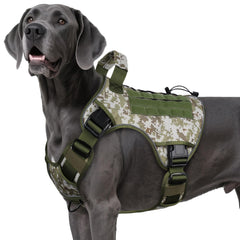 Wingoin harnais tactique XXL pour chien, confort et sécurité lors des sorties