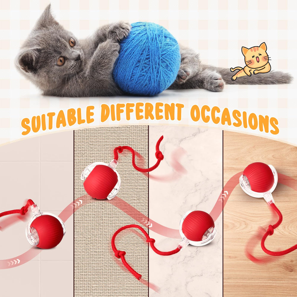 WinnerWhy Balle interactive avec 3 modes, variétés de jeu pour chats et chiens.