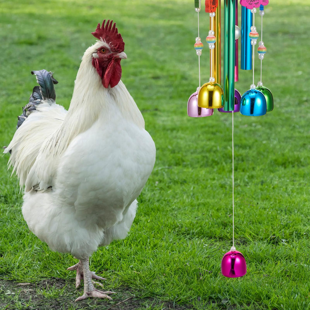 WinnerWhy compatibilité oiseaux: adapté pour poules et autres oiseaux.
