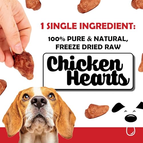 Winni Treats – emballage ouvert dévoilant coeurs de poulet lyophilisés faciles à donner