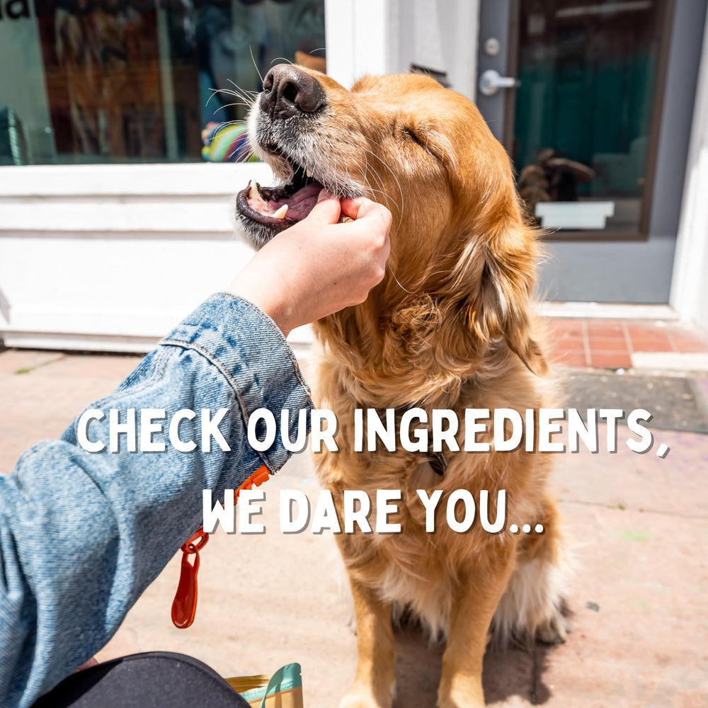 Convient à toutes les tailles de chiens avec Winnie Lou Bison Burger.