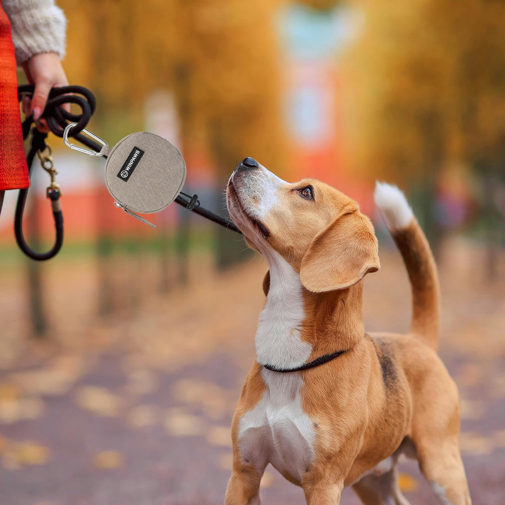 WINPAWS accessoire de voyage idéal pour l’entraînement des chiens