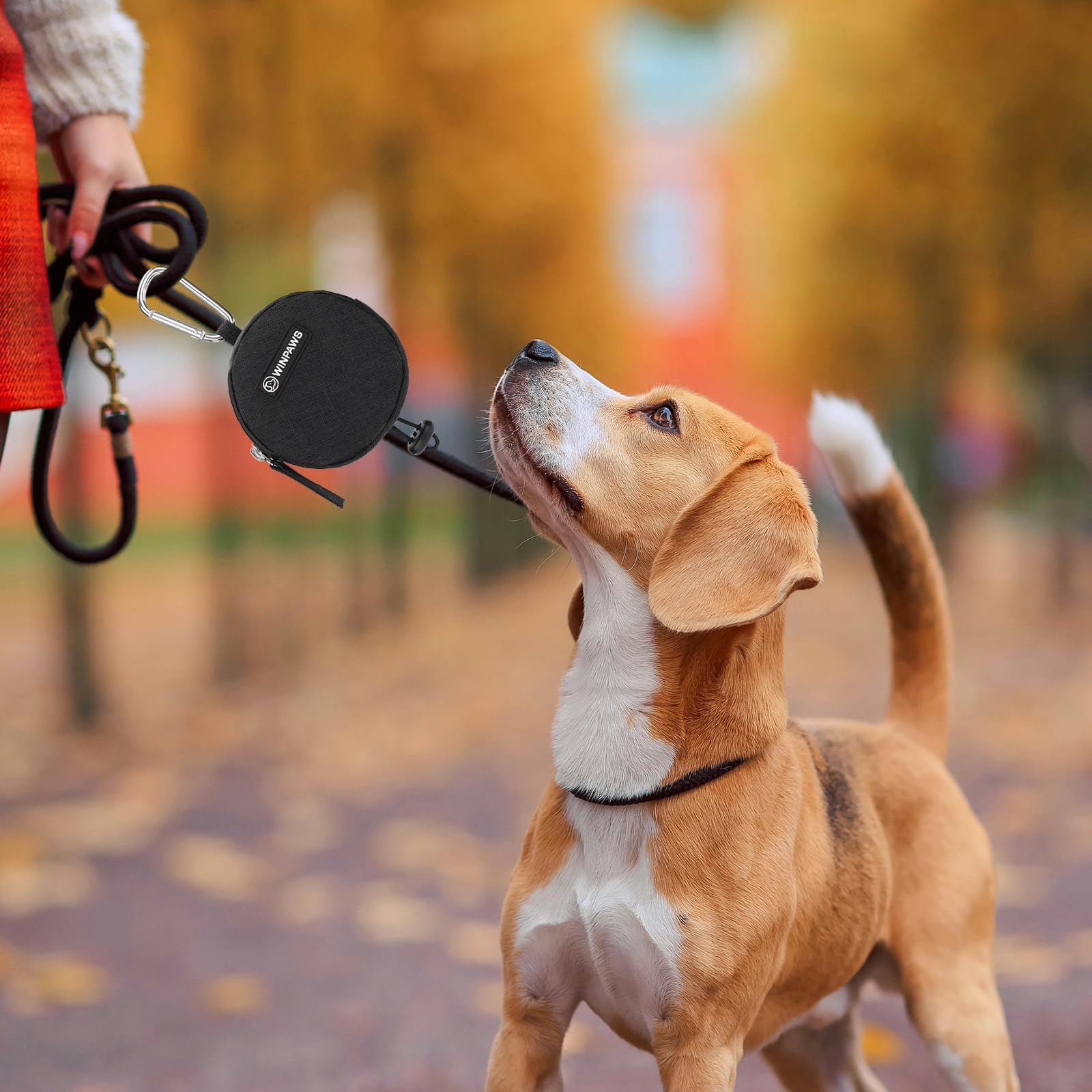 WINPAWS design-compact-et-pratique: format léger et portable pour l'usage quotidien