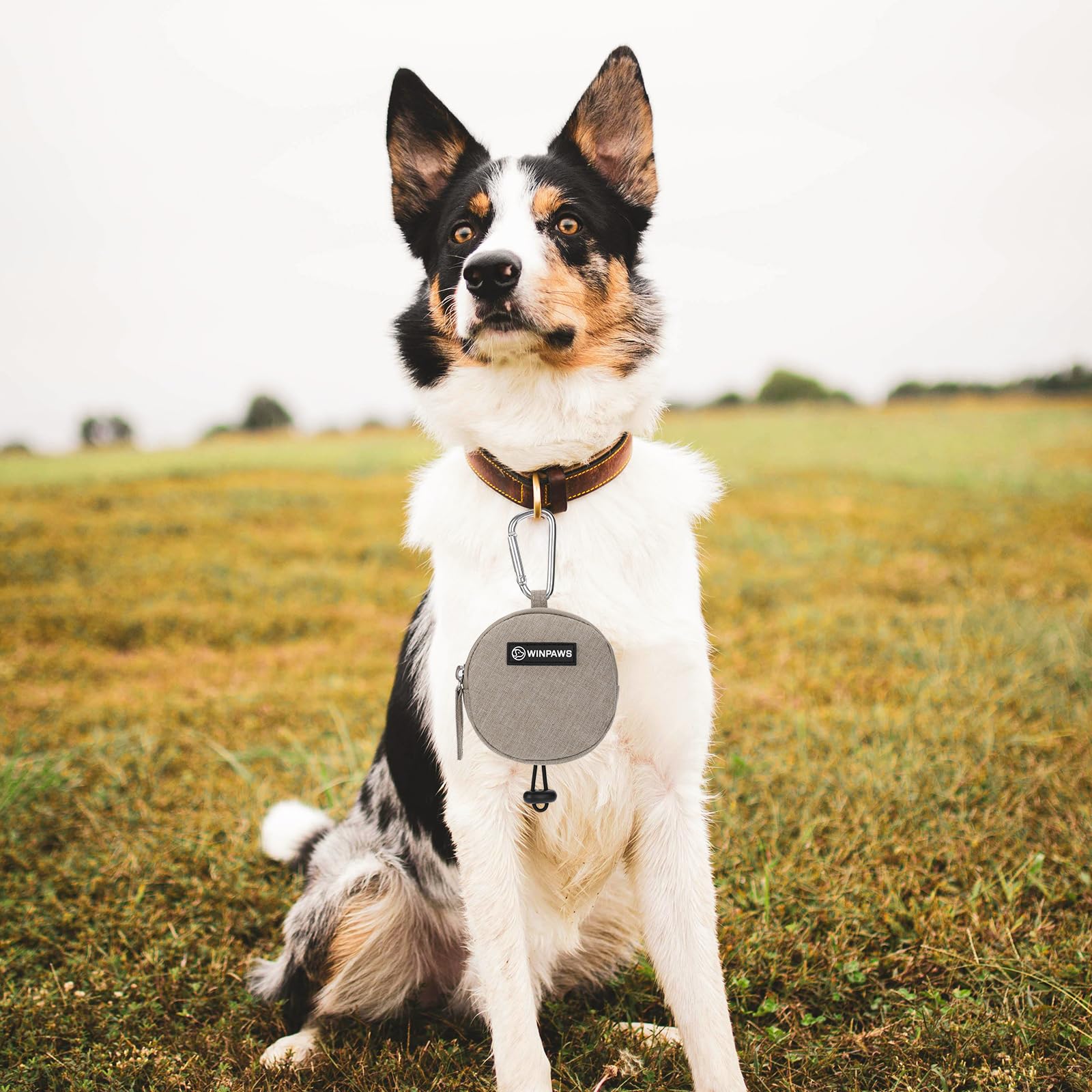 WINPAWS distributeur de sacs à déjections intégré et pratique