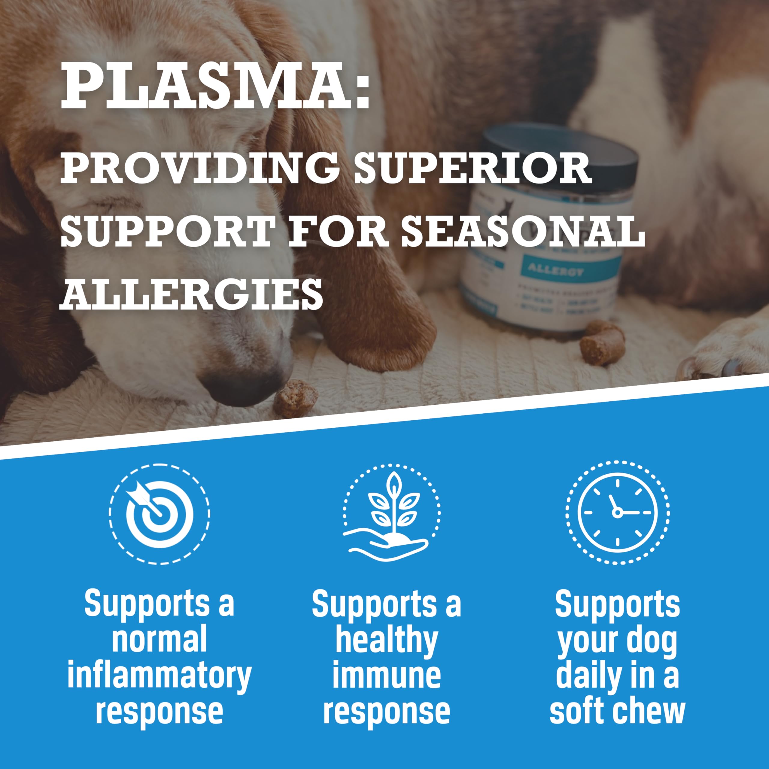 WINPRO Allergy Chews — plaisir du chien et routine quotidienne, facile à intégrer.