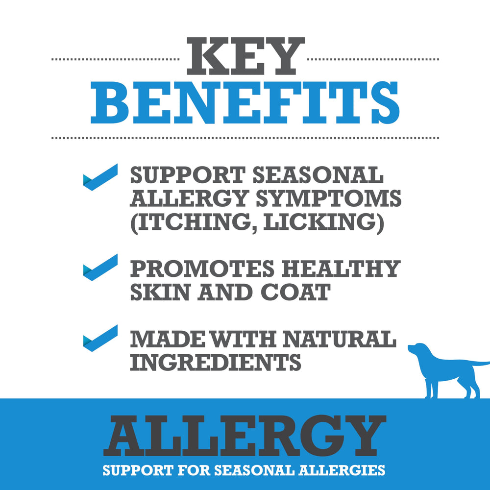 WINPRO Allergy Chews — texture molle en gros plan, facilité d'administration quotidienne.