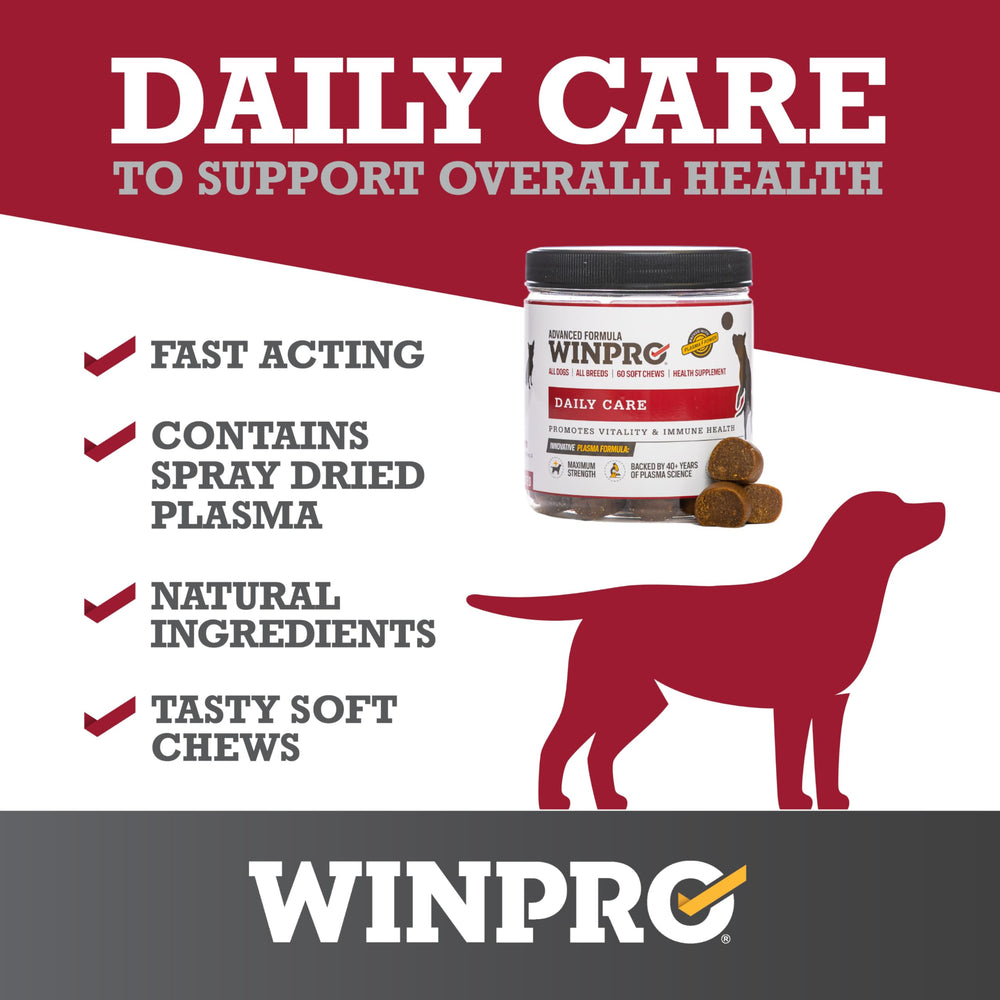 WINPRO chien actif grâce aux friables, routine bien-être possible.