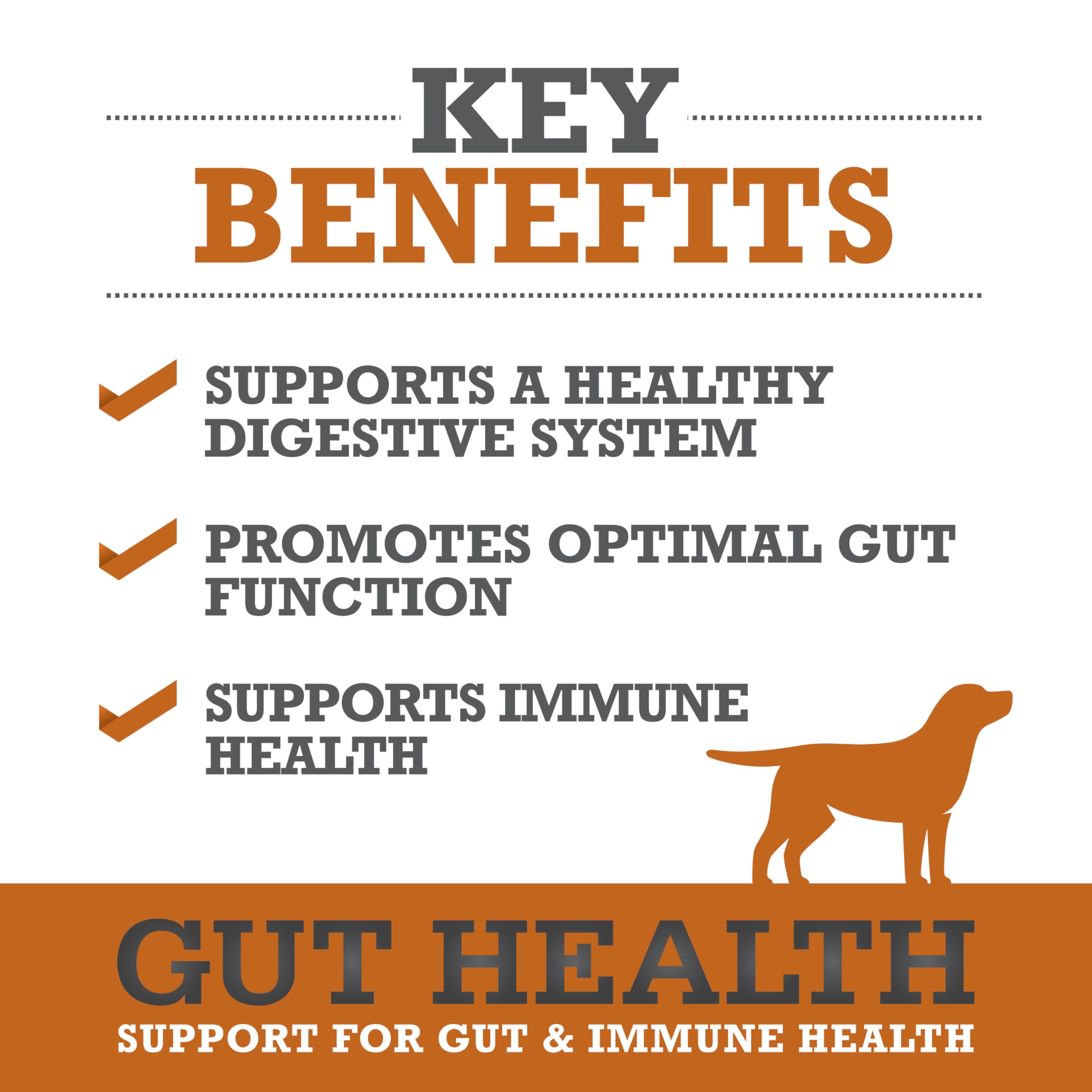 WINPRO Chien formule plasma puissante pour immunité et bien-être intestinal.