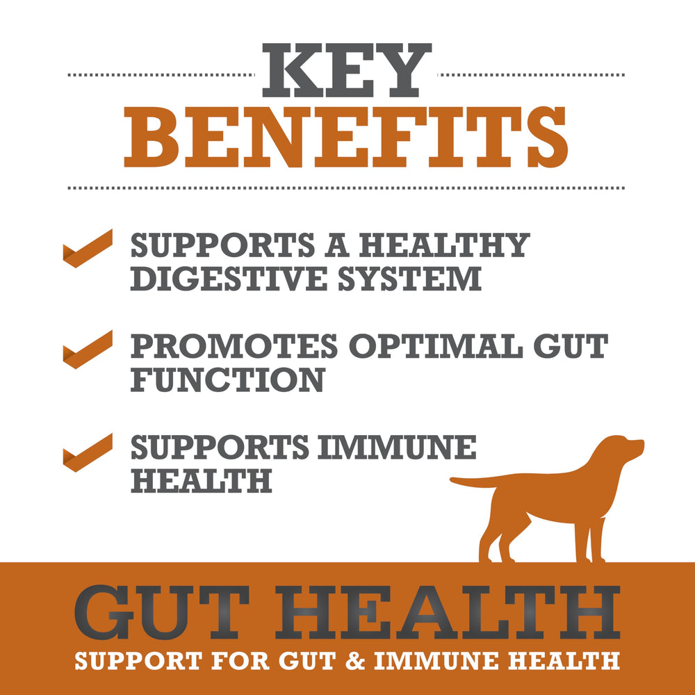 WINPRO Chien formule plasma puissante pour immunité et bien-être intestinal.