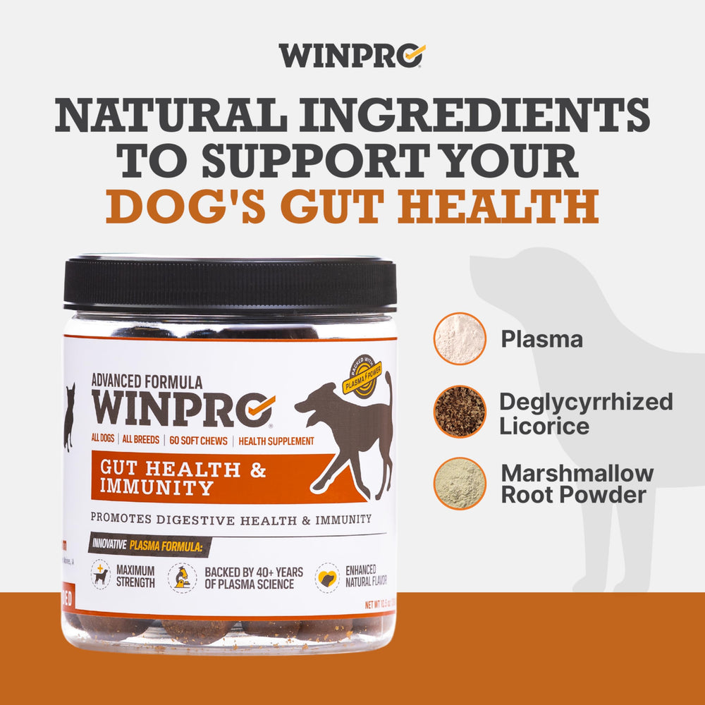 WINPRO Chien reglisse-deglycyrrhizee poudre soutient la muqueuse digestive.