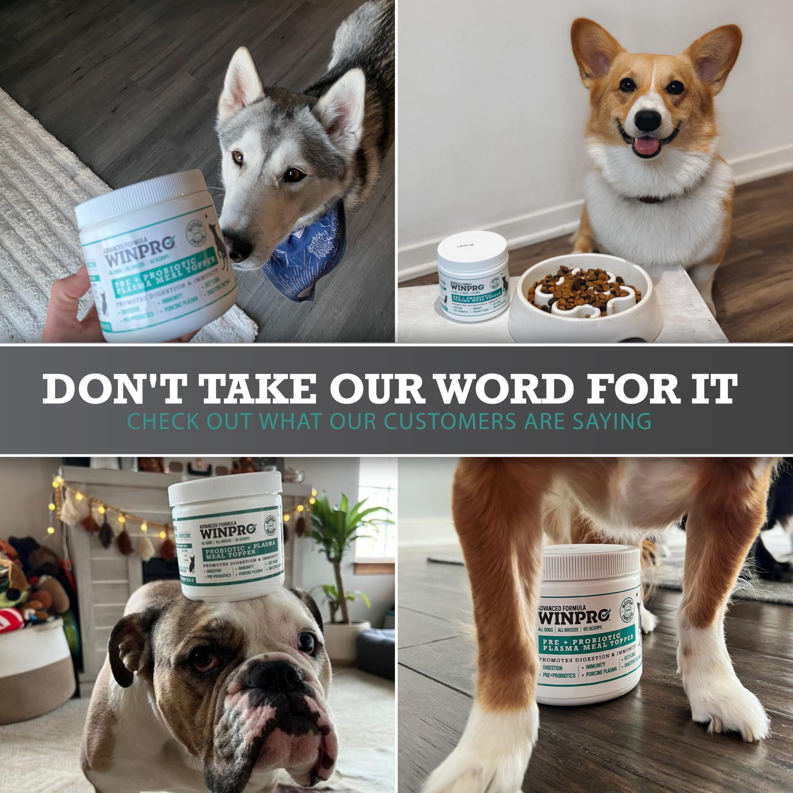 WINPRO Garniture repas chiens: usage facile dans l’alimentation.