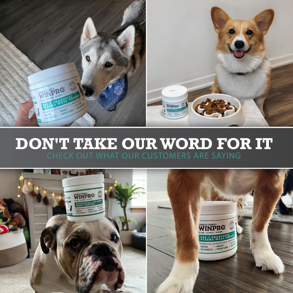 WINPRO Garniture repas chiens: usage facile dans l’alimentation.