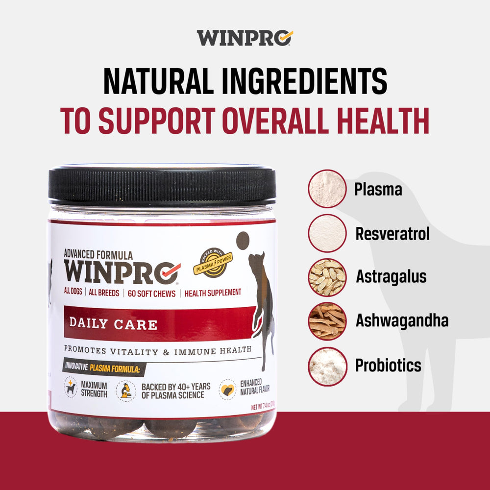 WINPRO gros plan bouchées douces, texture agréable et goût apprécié.