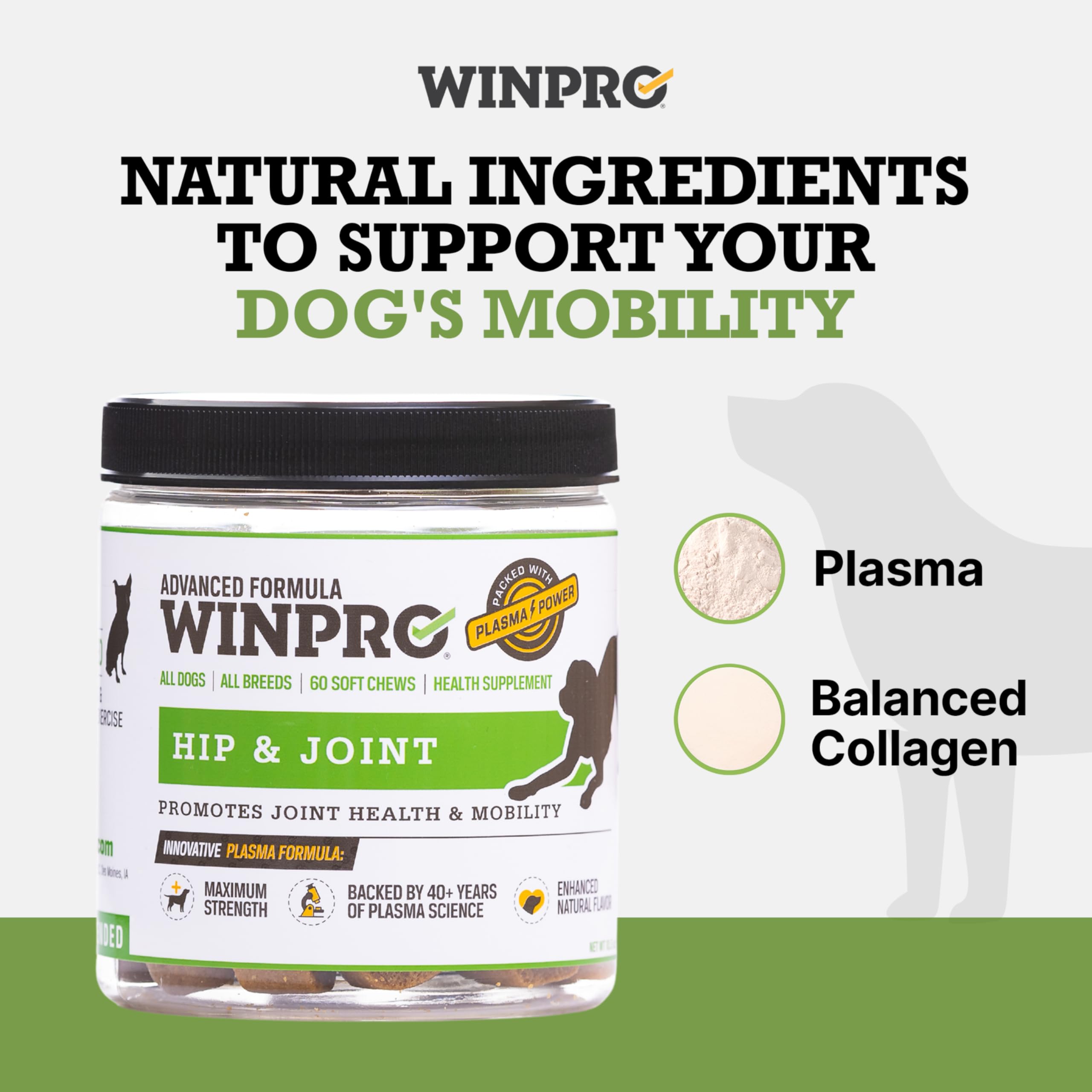 WINPRO formule plasma kinetique, soutien inflammatoire quotidien.
