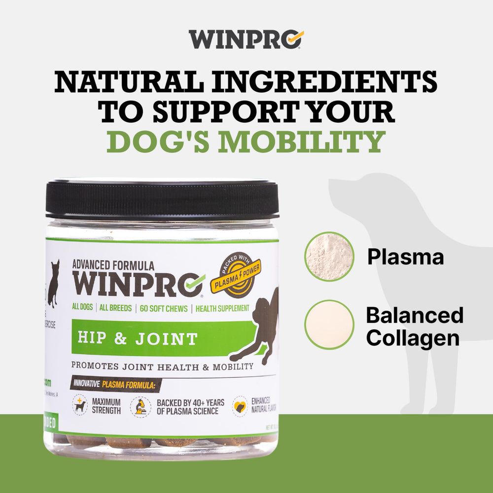 WINPRO formule plasma kinetique, soutien inflammatoire quotidien.