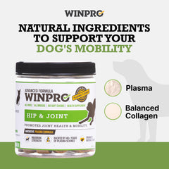 WINPRO formule plasma kinetique, soutien inflammatoire quotidien.