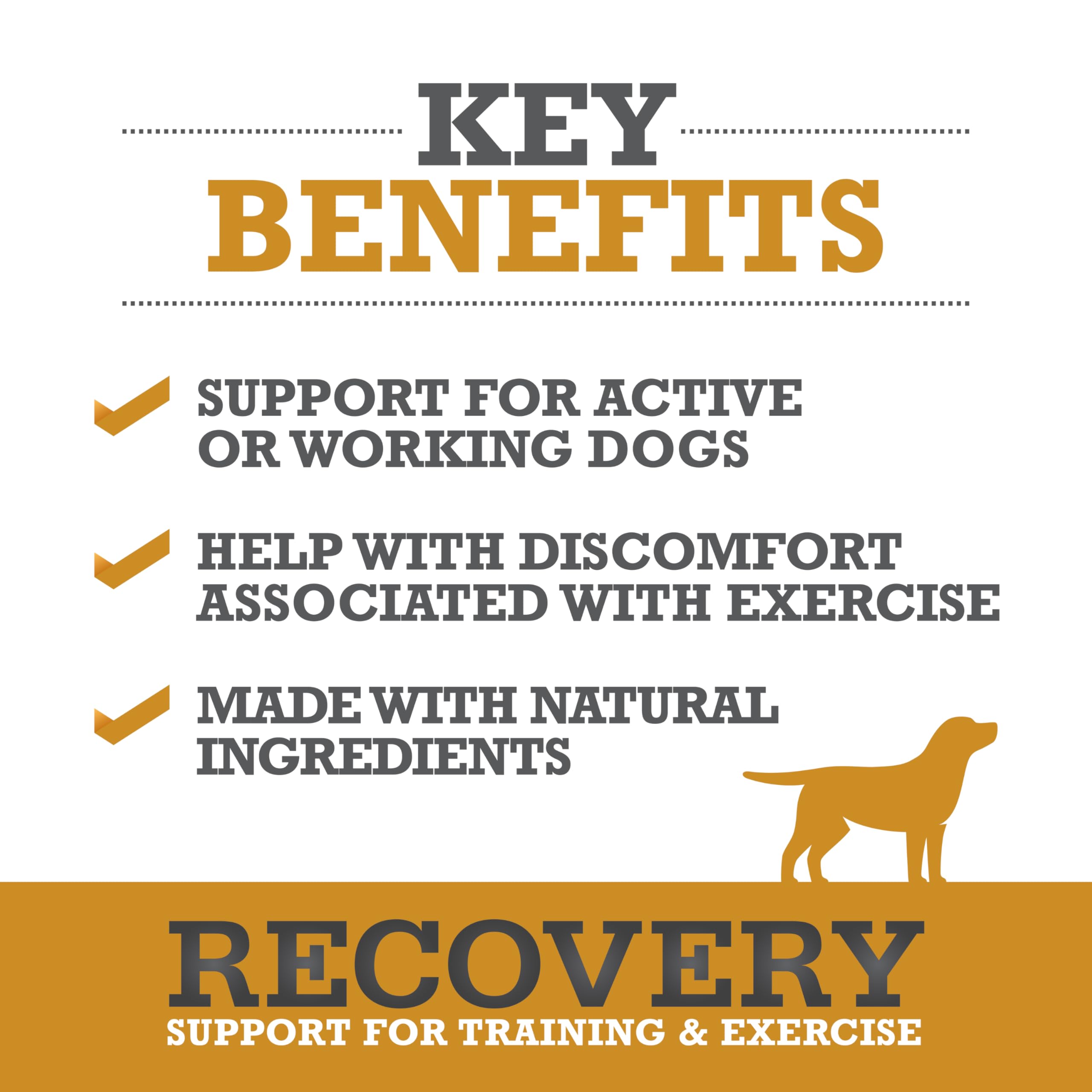 Gommes WINPRO Recovery, texture tendre adaptée aux chiens actifs.