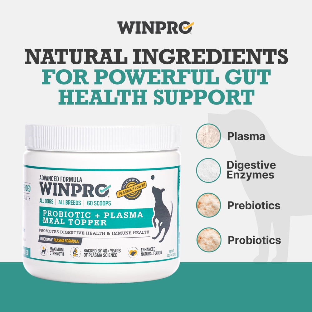 WINPRO Immunité canine: soutien possible du système immunitaire.
