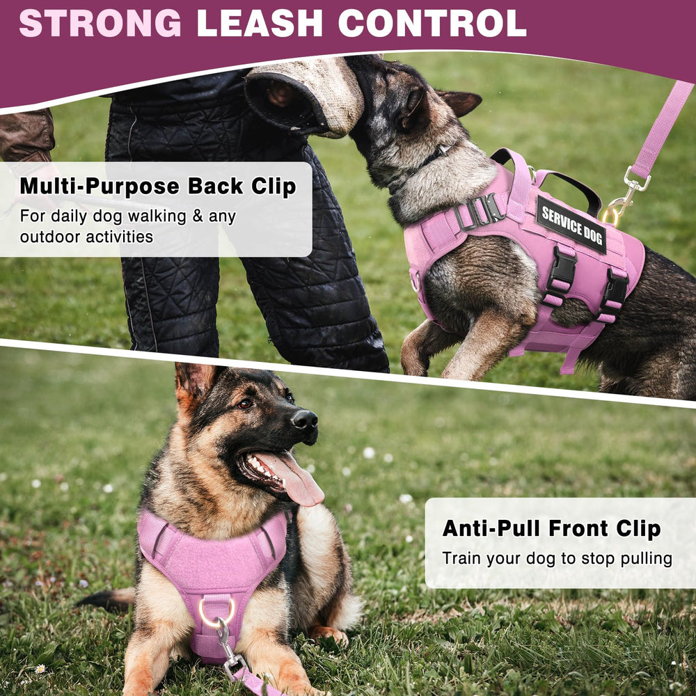 WINSEE anneaux de dressage chien – attaches robustes pour entraînements