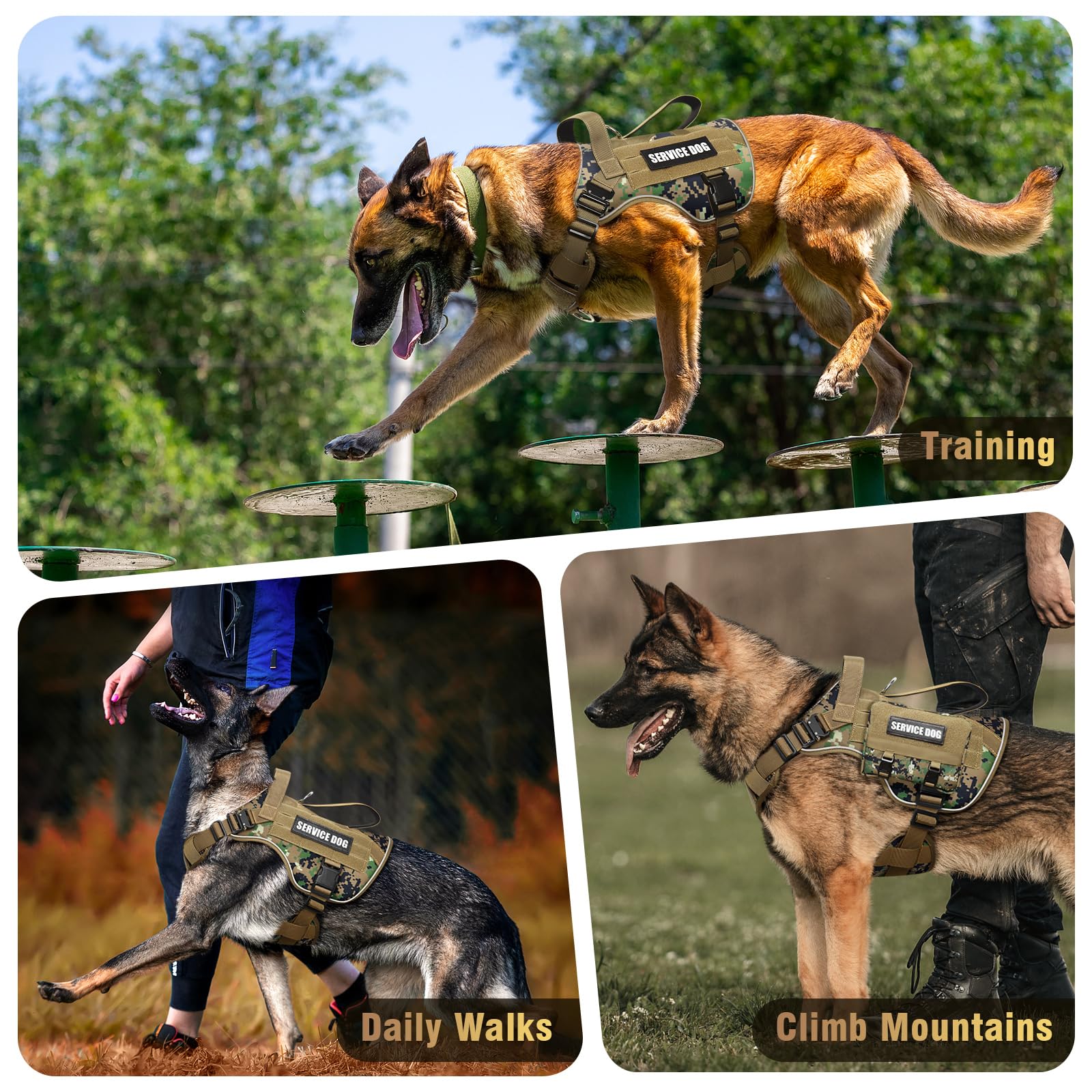WINSEE badges et patchs inclus pour personnalisation rapide et identification.