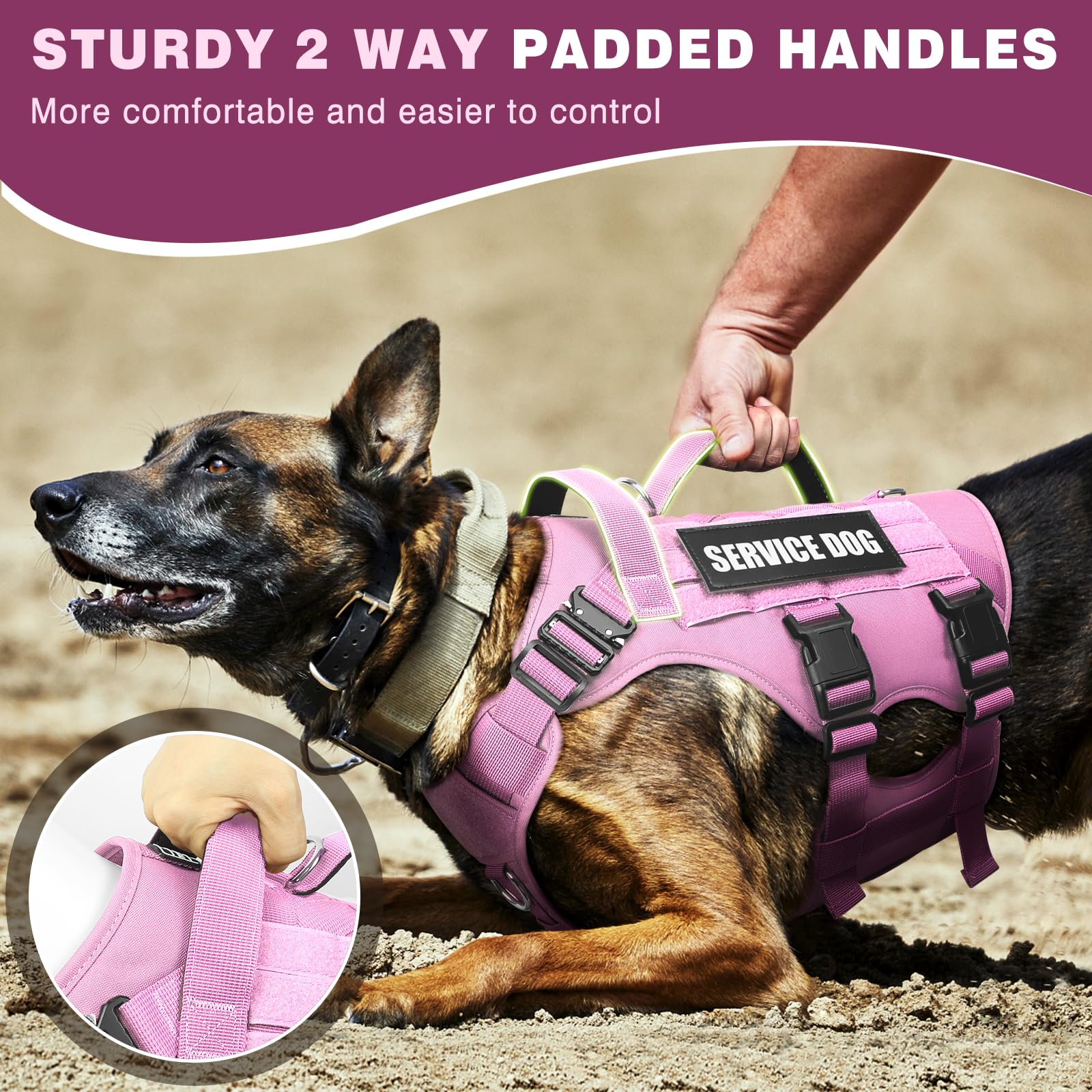 WINSEE boucles métal harnais chien – résistance lors des exercices et balades