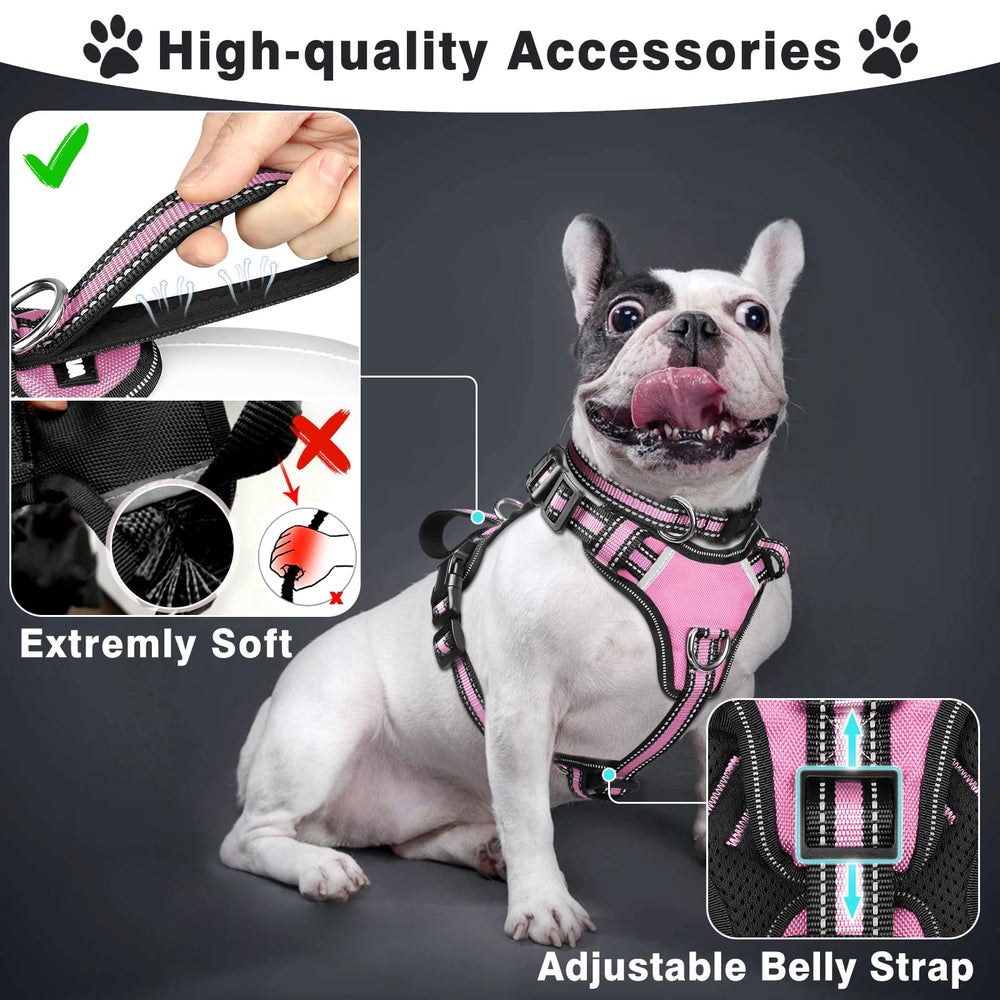 Collier réfléchissant WINSEE pour chien, meilleure visibilité
