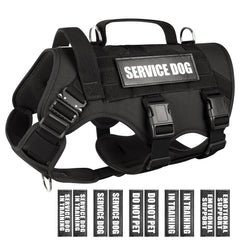 Veste service WINSEE pour chien de grande taille, conçue pour le confort et la durabilité lors des promenades.