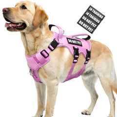 WINSEE harnais anti‑évasion pour chien, sécurité renforcée lors des promenades.