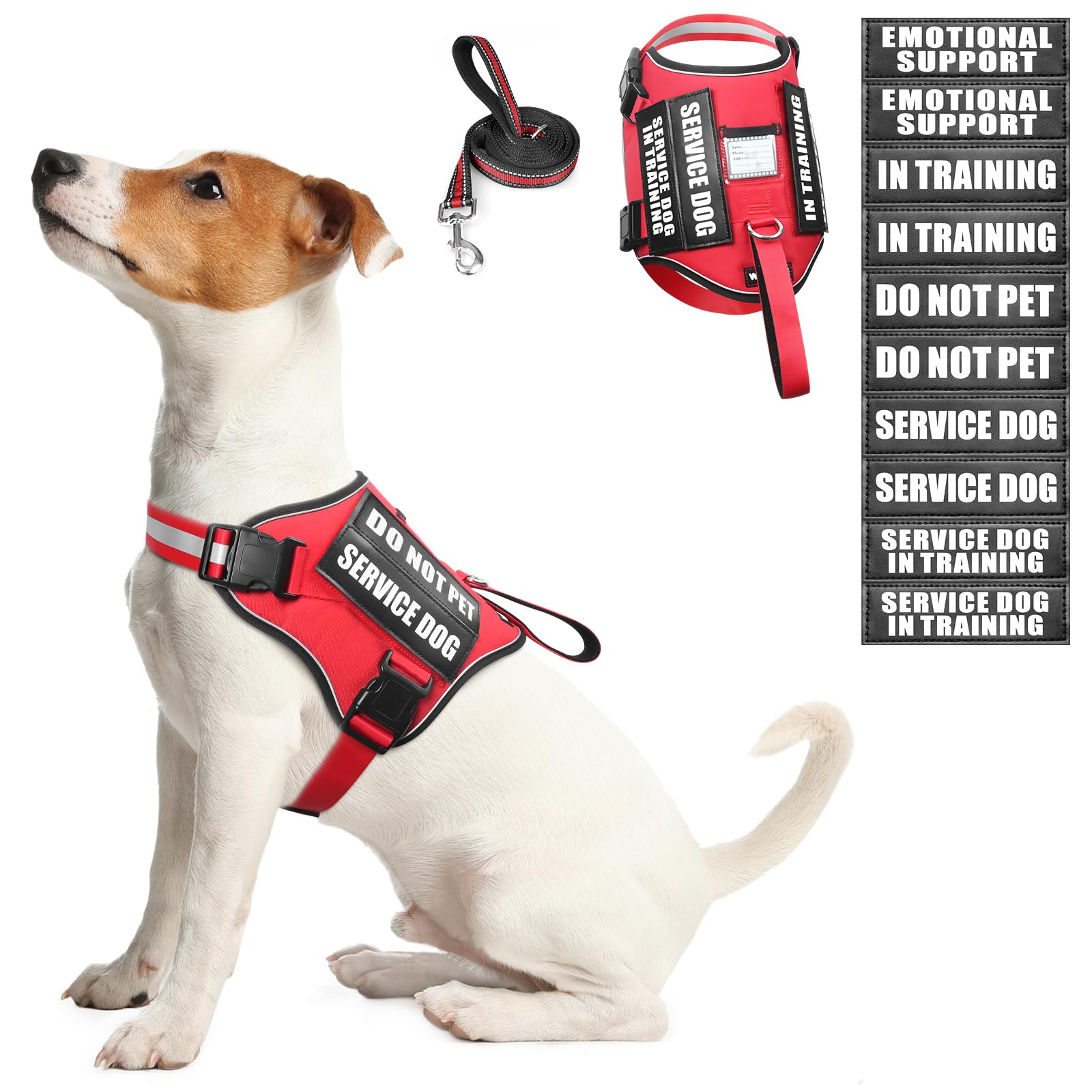 Harnais WINSEE pour chien d'assistance avec patchs, sécurité et visibilité renforcées