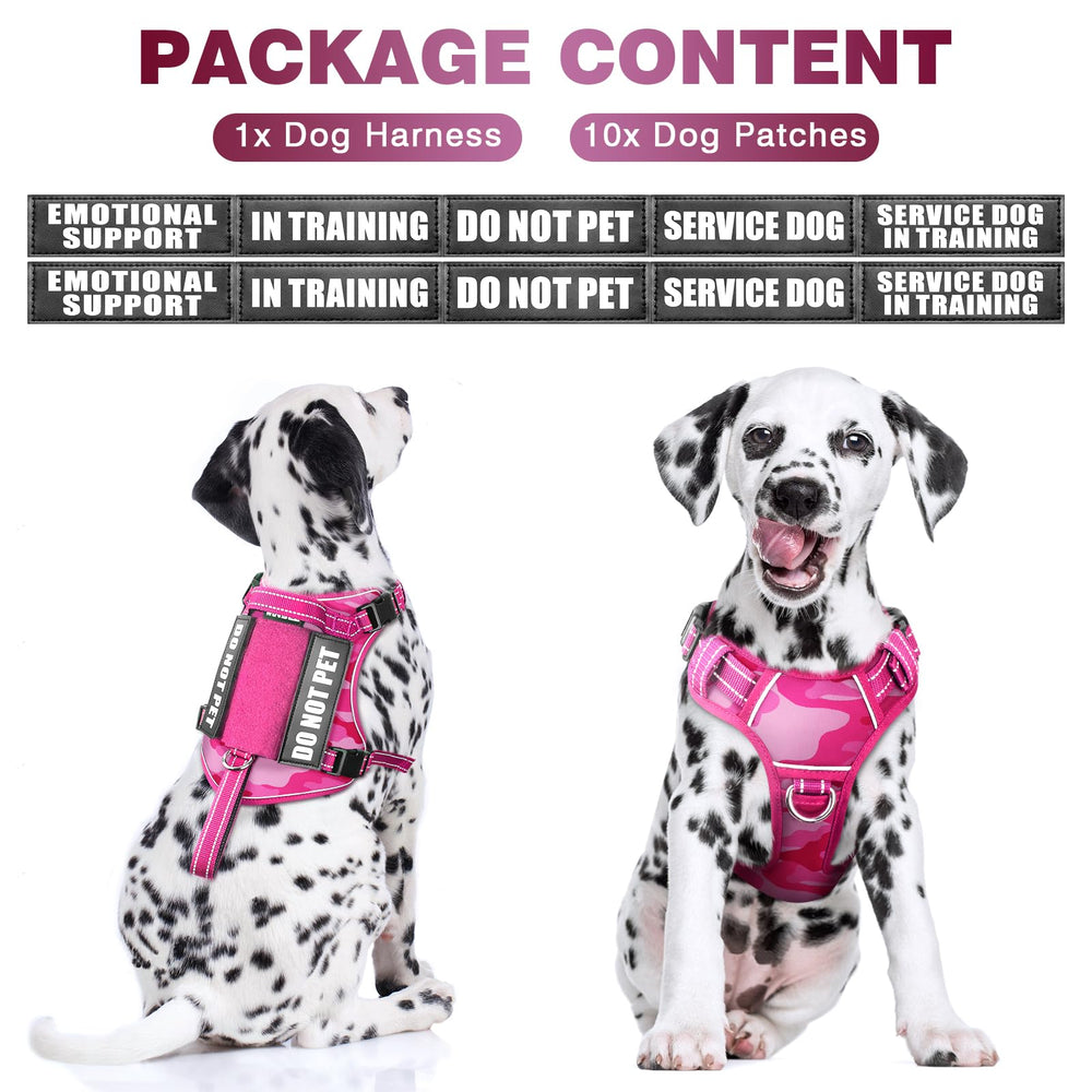 Harnais WINSEE disponible en 5 couleurs et 4 tailles pour tous les chiens.
