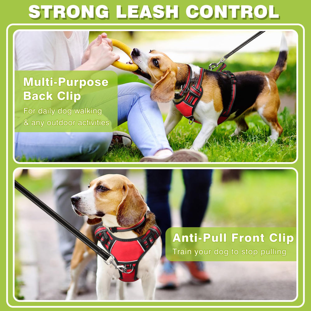 WINSEE harnais chien – doublure mesh respirante pour le confort.