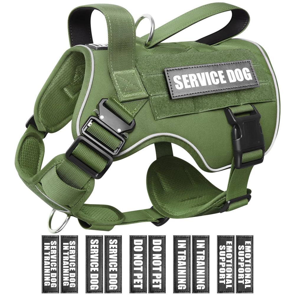 Harnais WINSEE pour chien moyen avec système MOLLE pour accessoiriser les sorties.