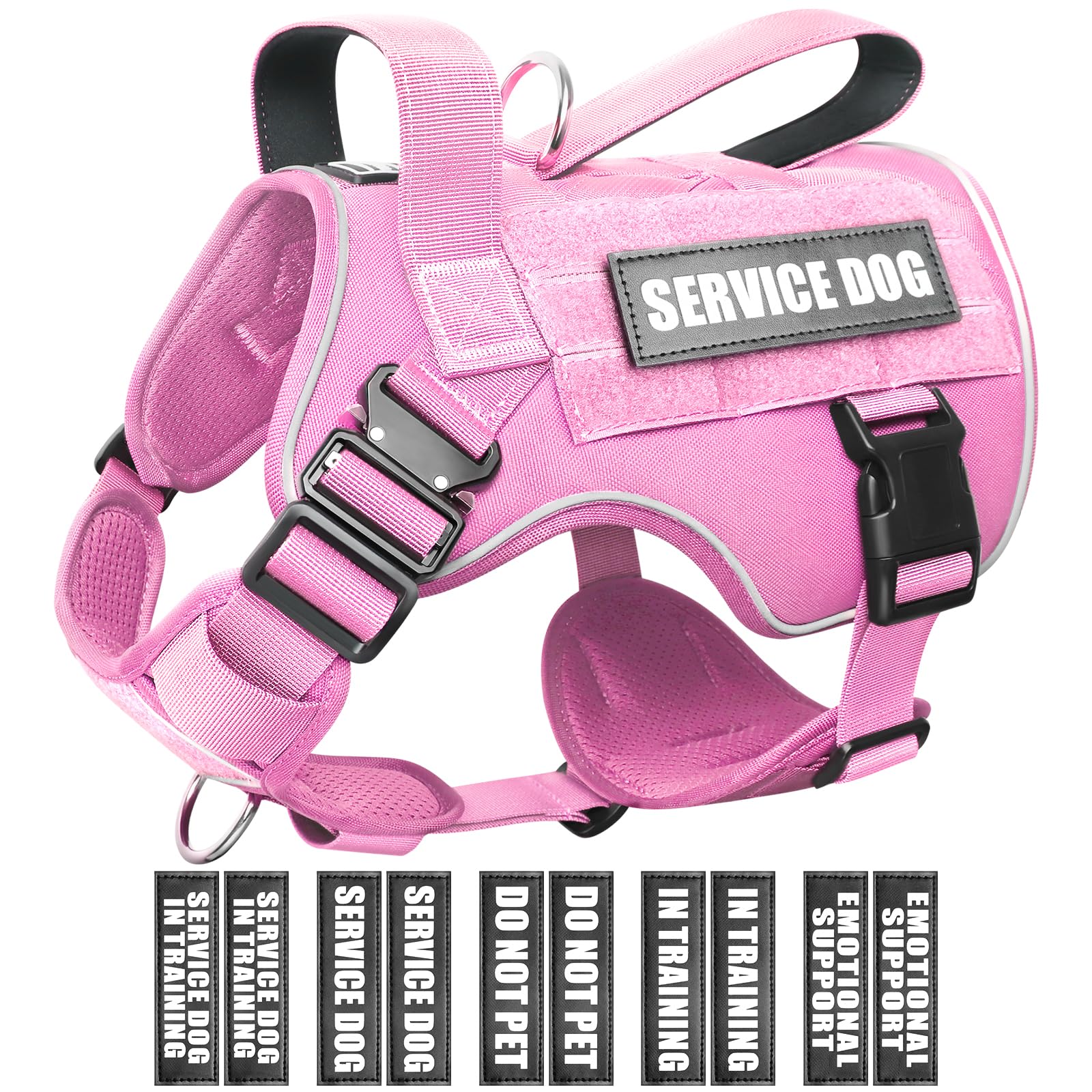 harnais winsee pour chien moyen avec molle, pratique pour équipements lors des sorties.