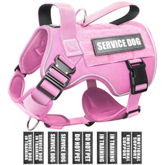 harnais winsee pour chien moyen avec molle, pratique pour équipements lors des sorties.