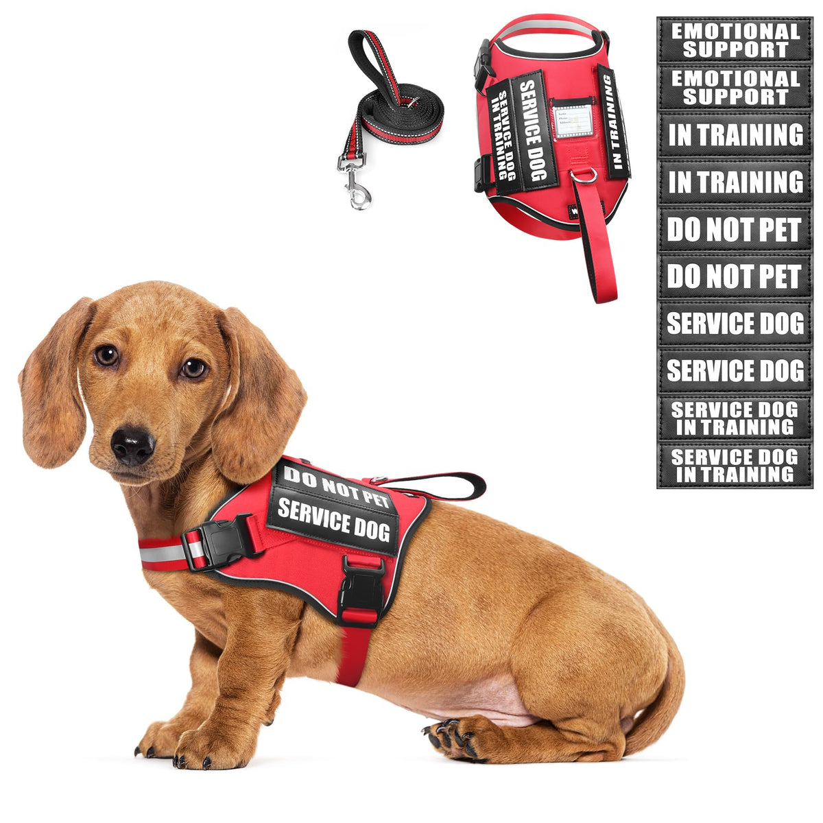 Harnais WINSEE petit chien rouge pour un confort et un contrôle optimisés.