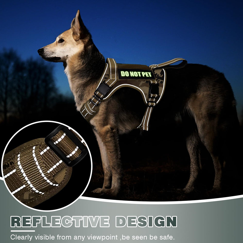 Harnais WINSEE disponible en quatre tailles pour un ajustement confortable.